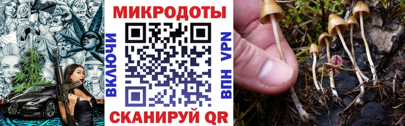гидра как зайти  Котельниково  Галлюциногенные грибы мицелий  где купить наркоту 